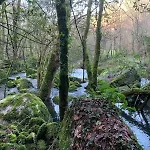 Landhaus Bessa Nature & Vilar (Travassos)