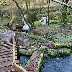 Bessa Nature & Vilar (Travassos)
