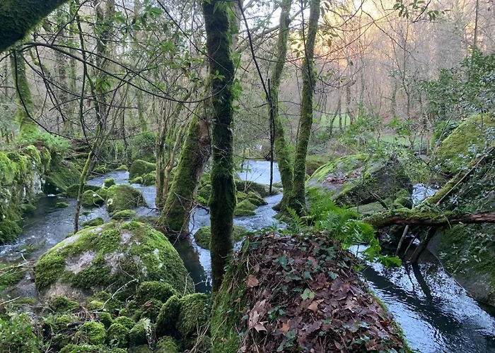 Hétvégi ház Bessa Nature & Vilar (Travassos)