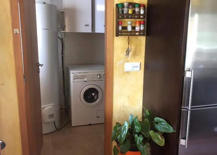 Bessa Nature & Vilar (Travassos)