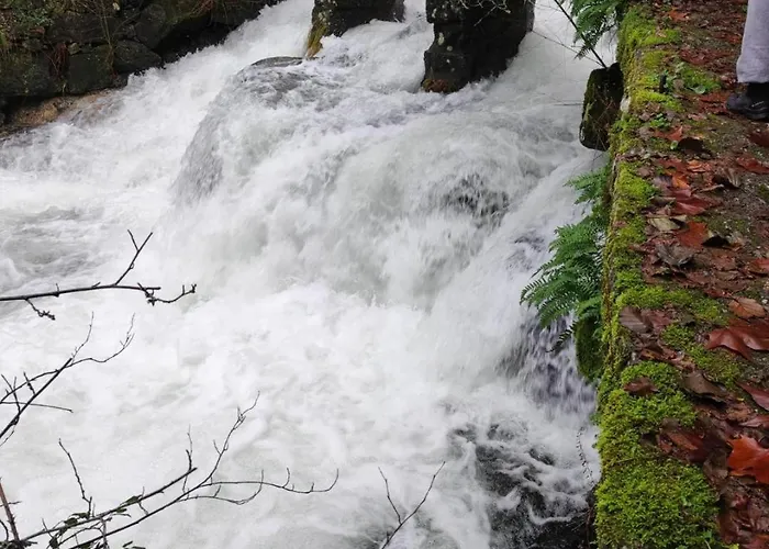 Casa de Campo Bessa Nature & *