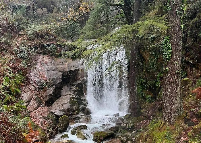 Casa de Campo Bessa Nature & *